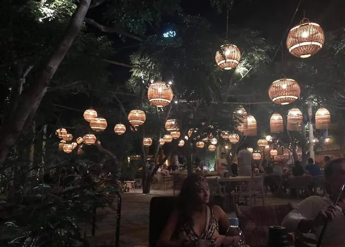 Iliada 4* بروتاراس